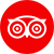 Icon Trip Advisor