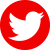 Icon Twitter